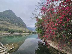 -长寿村