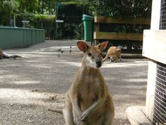-费瑟代尔野生动物园