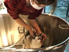 -PETKIT 小佩宠物·低压洗护·美容·寄养(安远店)