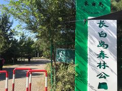 -长白岛森林公园