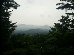 -汉拿树木园
