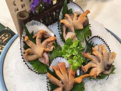 -喜聚薈·花膠雞海鮮火鍋(越秀店)