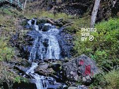 -凤凰山国家森林公园