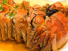 -老吉士酒家(天平路店)