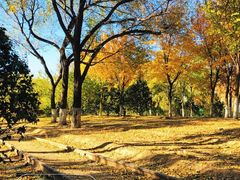 -永定河休闲森林公园