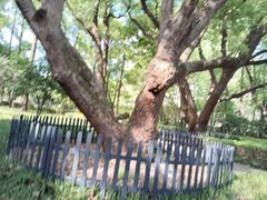 -徐家汇源景区-衡山公园