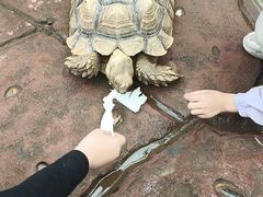 -长鹿旅游休博园
