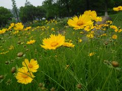 -白塘生态植物园