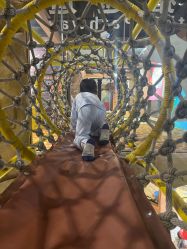 -卡通尼·Safari非洲探索乐园·生日会(金桥国际商业广场店)