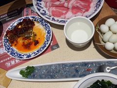 -东镇老火锅(长春路首店)