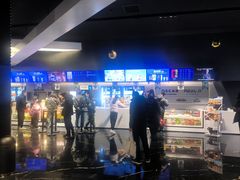 -奥斯卡升龙国际影城(RealD Cinema)