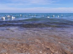 -青海湖国家重点风景名胜区