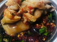 -中和裴氏蹄花(府河路店)