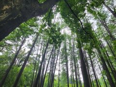 -东湖生态旅游风景区