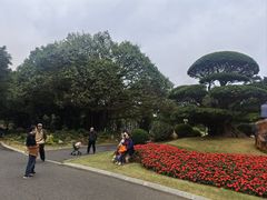 -南宁南湖公园