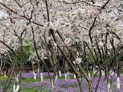-白塘生态植物园