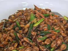 -瑞丰园庭院餐厅·白族传统家常菜