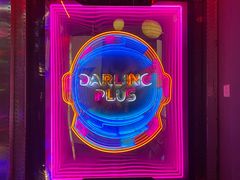 -Darling Queen·Mini·Live·House