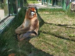 -西安秦岭野生动物园