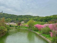 -苏州上方山国家森林公园