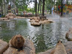 -北京野生动物园