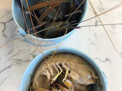 -澜悦港海鲜体验主题餐厅