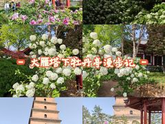 -大慈恩寺(大雁塔)