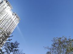 -满满元气和田大枣糕·蛋糕(朝阳大悦城店)