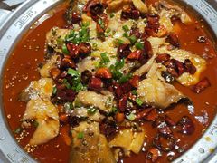 -东来菜馆•手抓海鲜家常菜•海鲜锅贴(鸽子窝店)