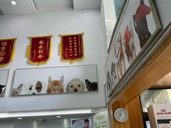 -爱侣宠医·鹦鹉专科·小型哺乳类·异宠专科(灵石路店)