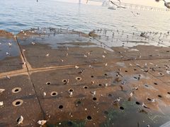 -星海广场