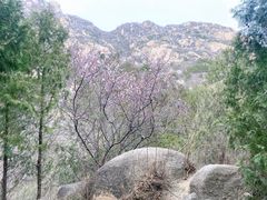 -北京凤凰岭