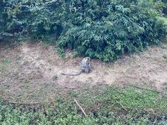 -宁波野生动物园
