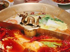 -小龙翻大江文化火锅(宽窄店)