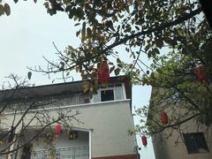 -胖大姐黄辣丁鱼庄(新津店)