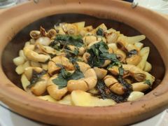 砂鍋紫蘇焗生腸-金汇酒楼(中山东区店)