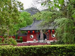 -江西龙虎山景区