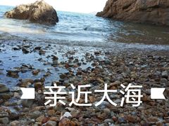 -棒棰岛宾馆景区