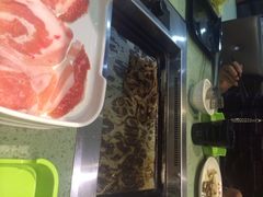 韩美轩自助烤肉-韩美轩自助烤肉火锅