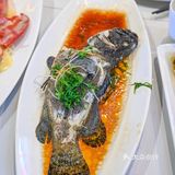 逛完三亚免税店，一定要去吃这家网红海鲜🦞