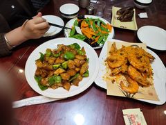 -邵年鸽(杨庄店)