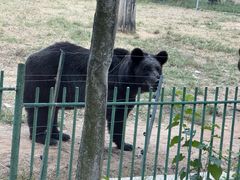 -秦皇岛野生动物园
