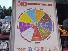 -极斗-IKMF马伽术·格斗运动学院(东直门店)