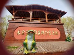 -永定河休闲森林公园