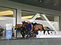 -上海保利玛莎拉蒂和阿尔法罗密欧(华翔路店)