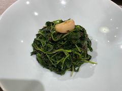 松茸高山豆苗-新光酒家·河豚·海鲜·蟹料理(浦东店)
