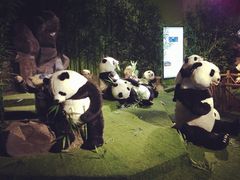 iphone_upload_pic-成都泰迪熊博物馆