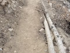 -北京鹫峰国家森林公园