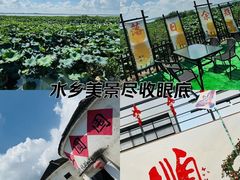 -品鲜村农家菜·阳澄湖大闸蟹(总店)