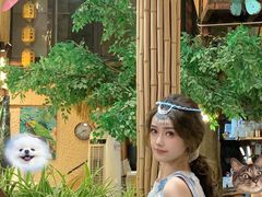 -大理董·董家小厨野生菌火锅(古城旗舰店)